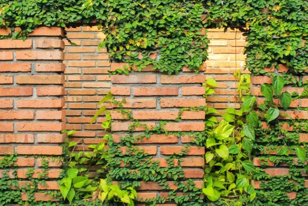 Muro de ladrillo con pilares y hiedra delimitando un jardín