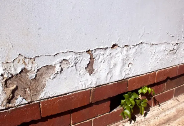 Mantenimiento de fachada de casa en León, guía práctica